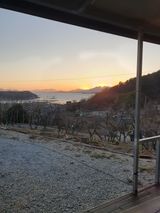 팜모닝 자유주제·사진전 게시글 이미지