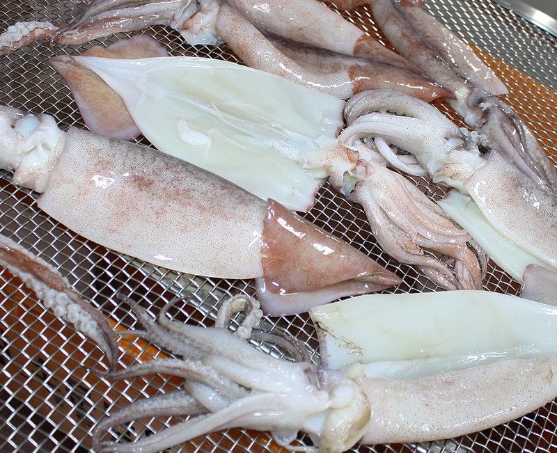 장터 상품 [제주 손질 오징어 3마리] 썸네일