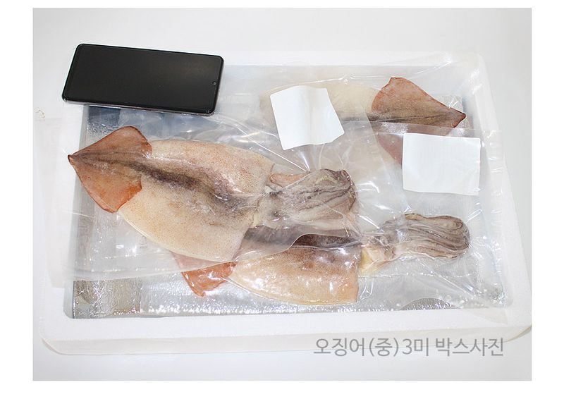 고씨네수산님의 장터 판매 상품 [제주 손질 오징어 3마리] 첨부 사진