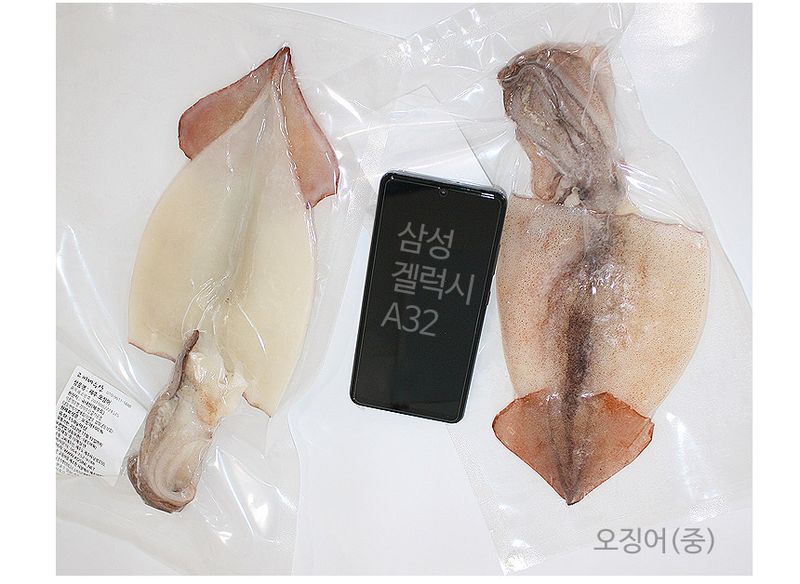 고씨네수산님의 장터 판매 상품 [제주 손질 오징어 3마리] 첨부 사진