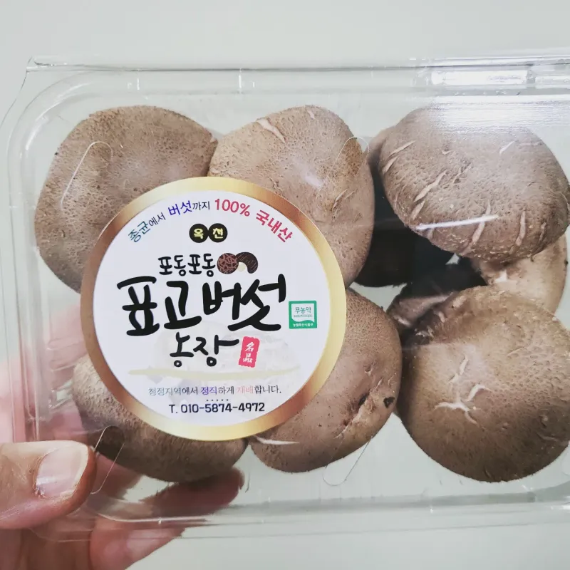 장터 상품 [꼬마버섯과 콩알버섯] 썸네일