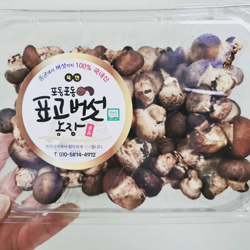 포동포동표고버섯농장님의 장터 판매 상품 [꼬마버섯과 콩알버섯] 첨부 사진