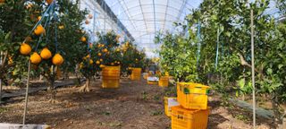 귤나라 님의 자유주제 · 사진전 작성글 사진