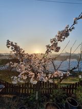 팜모닝 자유주제·사진전 게시글 이미지