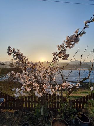 영동포도님의 자유주제 · 사진전 작성글 사진