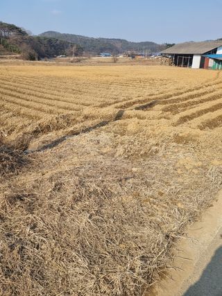 김유미님의 농자재정보 · 제품정보 작성글 사진