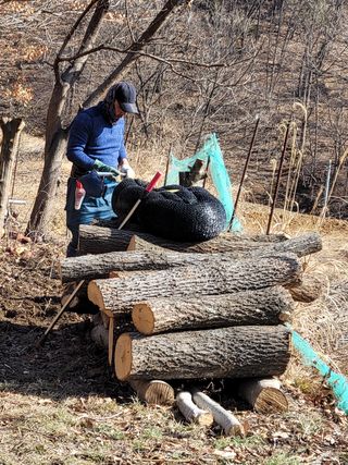 복숭아9918님의 자유주제 · 사진전 작성글 사진