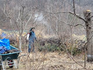 복숭아9918님의 자유주제 · 사진전 작성글 사진