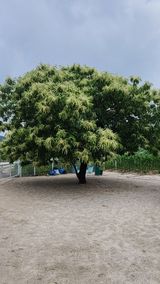 팜모닝 자유주제·사진전 게시글 이미지