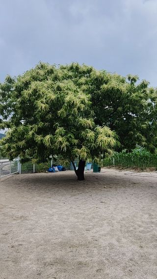 김미라님의 자유주제 · 사진전 작성글 사진