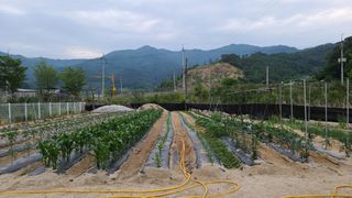 김미라님의 자유주제 · 사진전 작성글 사진