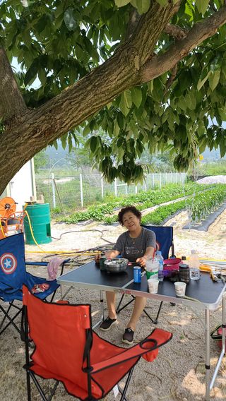 김미라님의 자유주제 · 사진전 작성글 사진