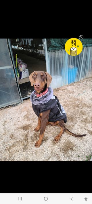 김미라님의 자유주제 · 사진전 작성글 사진