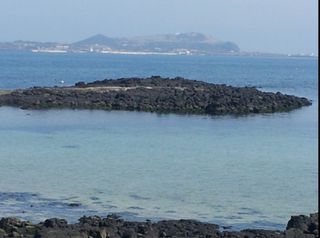 김태환님의 자유주제 · 사진전 작성글 사진