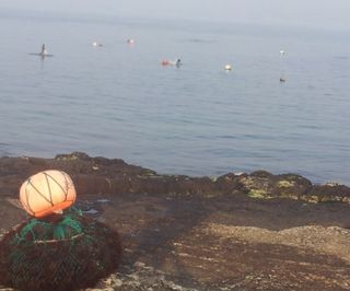 김태환님의 자유주제 · 사진전 작성글 사진