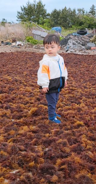 김태환님의 자유주제 · 사진전 작성글 사진