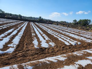 김태환님의 자유주제 · 사진전 작성글 사진