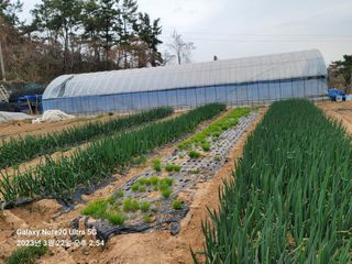 조명희님의 자유주제 · 사진전 작성글 사진