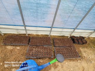 조명희님의 자유주제 · 사진전 작성글 사진