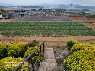 조명희님의 자유주제 · 사진전 작성글 사진
