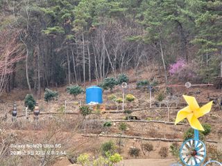 조명희님의 자유주제 · 사진전 작성글 사진