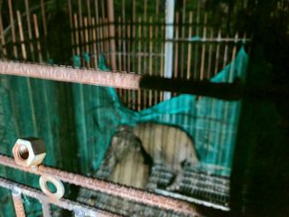 조명희님의 자유주제 · 사진전 작성글 사진