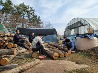 조명희님의 자유주제 · 사진전 작성글 사진