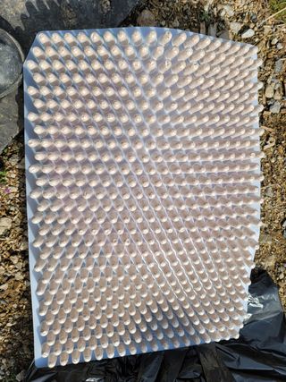 조명희님의 자유주제 · 사진전 작성글 사진