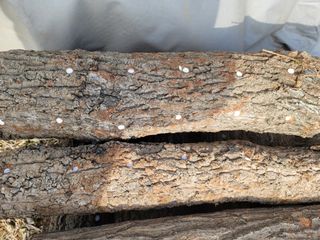 조명희님의 자유주제 · 사진전 작성글 사진