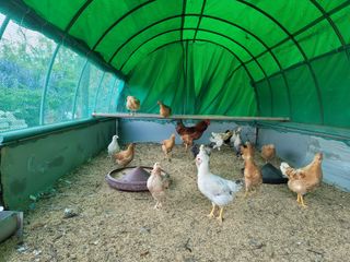 조명희님의 자유주제 · 사진전 작성글 사진