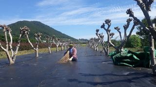 조명희님의 자유주제 · 사진전 작성글 사진