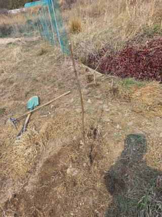 한천수님의 자유주제 · 사진전 작성글 사진