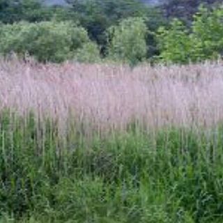 한천수님의 자유주제 · 사진전 작성글 사진