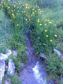 한천수님의 자유주제 · 사진전 작성글 사진