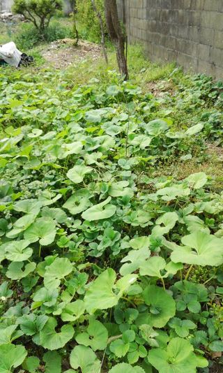 한천수님의 자유주제 · 사진전 작성글 사진