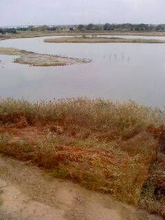 한천수님의 자유주제 · 사진전 작성글 사진