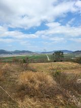 팜모닝 자유주제·사진전 게시글 이미지