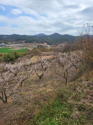 명모파더님의 자유주제 · 사진전 작성글 사진