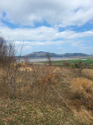 명모파더님의 자유주제 · 사진전 작성글 사진