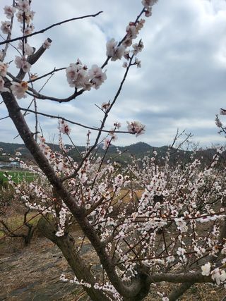 명모파더님의 자유주제 · 사진전 작성글 사진