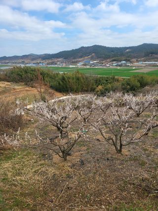 명모파더님의 자유주제 · 사진전 작성글 사진