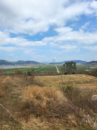 명모파더님의 자유주제 · 사진전 작성글 사진