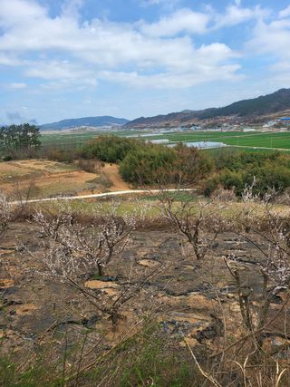 명모파더님의 자유주제 · 사진전 작성글 사진