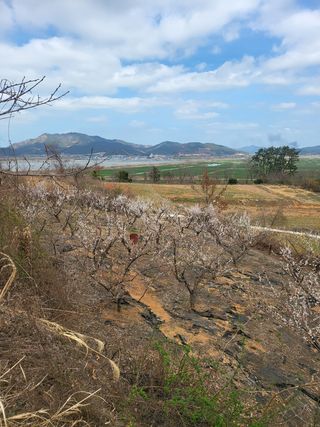 명모파더님의 자유주제 · 사진전 작성글 사진