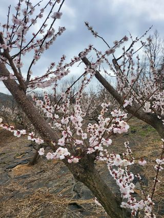 명모파더님의 자유주제 · 사진전 작성글 사진