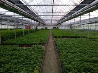 장흥엘림농원의배달기님의 자유주제 · 사진전 작성글 사진