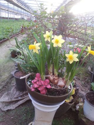 장흥엘림농원의배달기님의 자유주제 · 사진전 작성글 사진