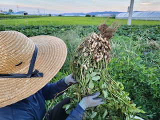 박순례님의 자유주제 · 사진전 작성글 사진