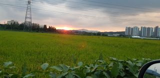 박순례님의 자유주제 · 사진전 작성글 사진