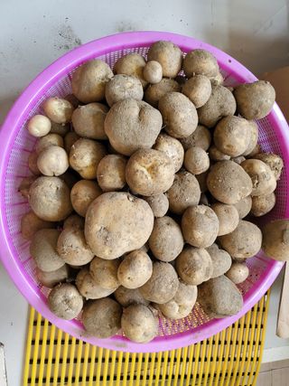 박순례님의 자유주제 · 사진전 작성글 사진